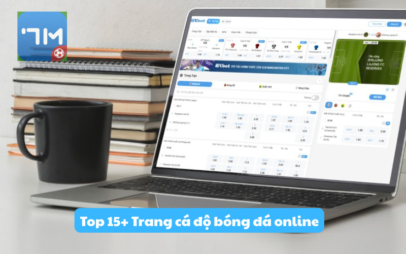 Top 15+ Trang cá độ bóng đá online - Cá cược thể thao trực tuyến uy tín tại Việt Nam 2026